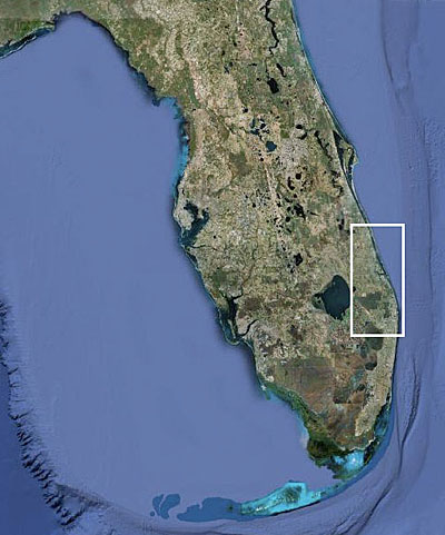 Florida satellite image